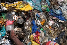 Coca-Cola, Ikea y la marca de moda de Kim Kardashian son acusadas de “greenwashing”