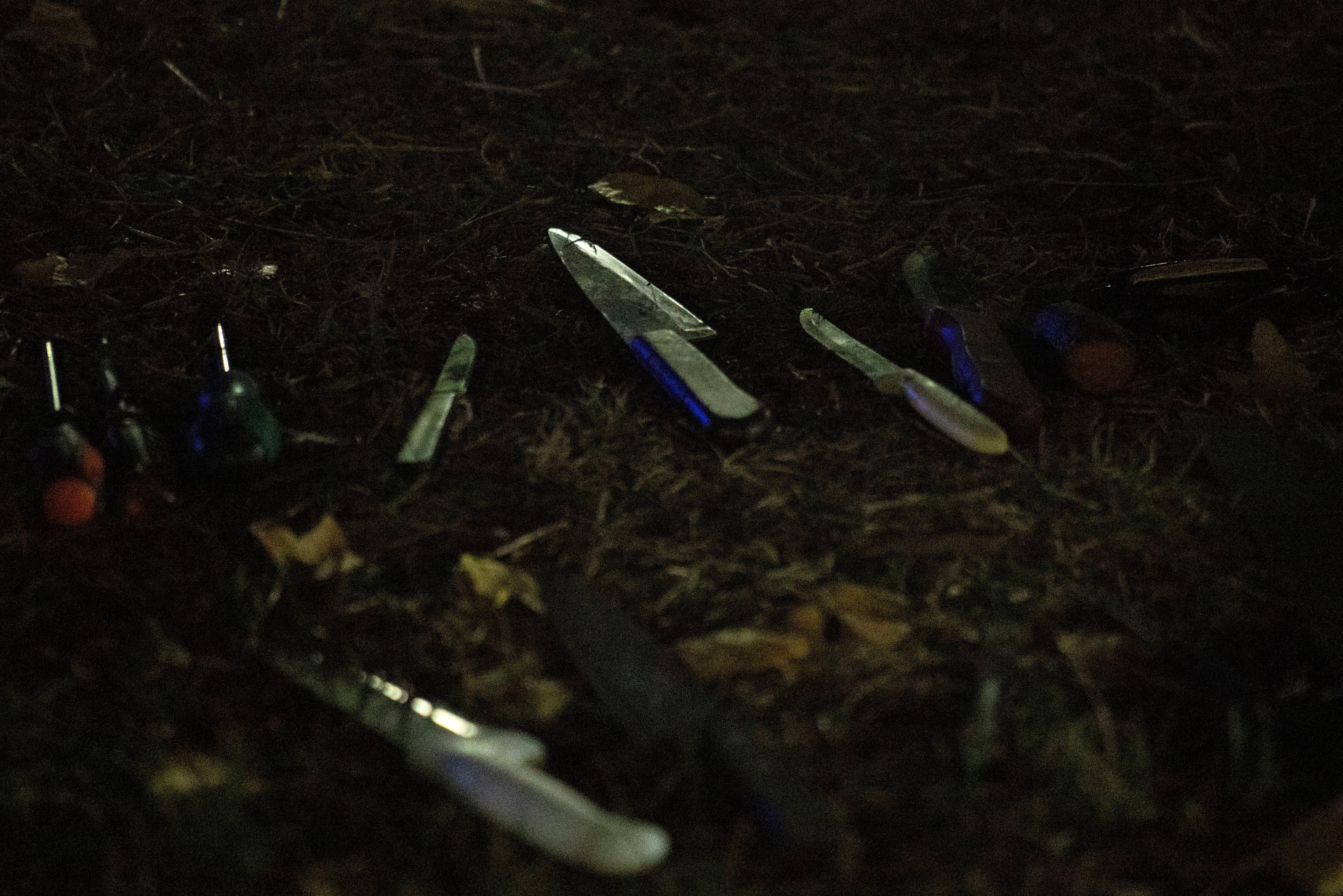 LIBERTADORES-CALI DETENIDOS