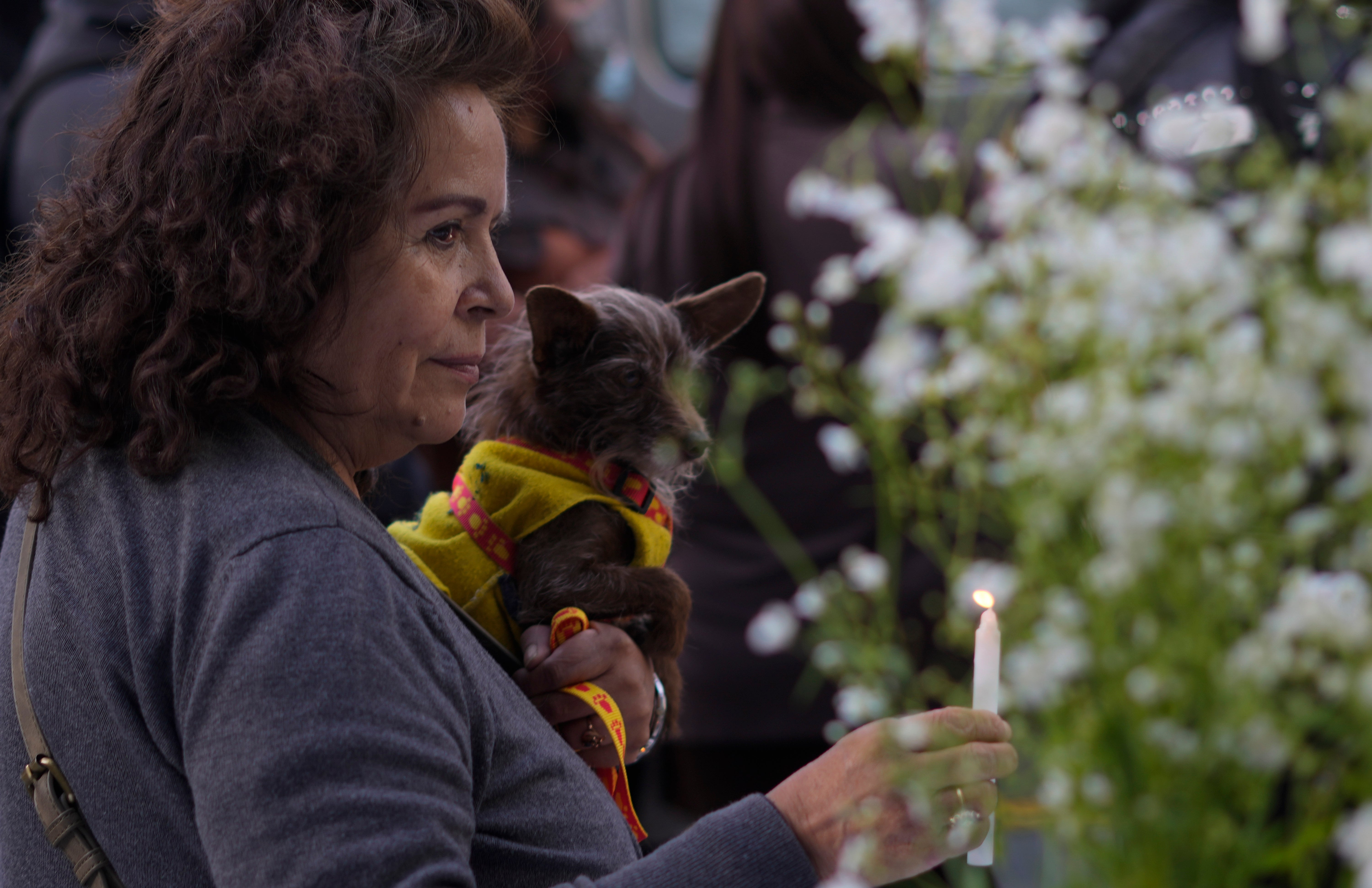 BOLIVIA-ANIMALES PROTESTA