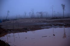 Sumido en crisis, Perú descuida la protección de la Amazonía