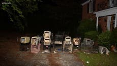 “Olor a muerte”: Descubren 30 perros y gatos muertos en la casa de una rescatista de animales