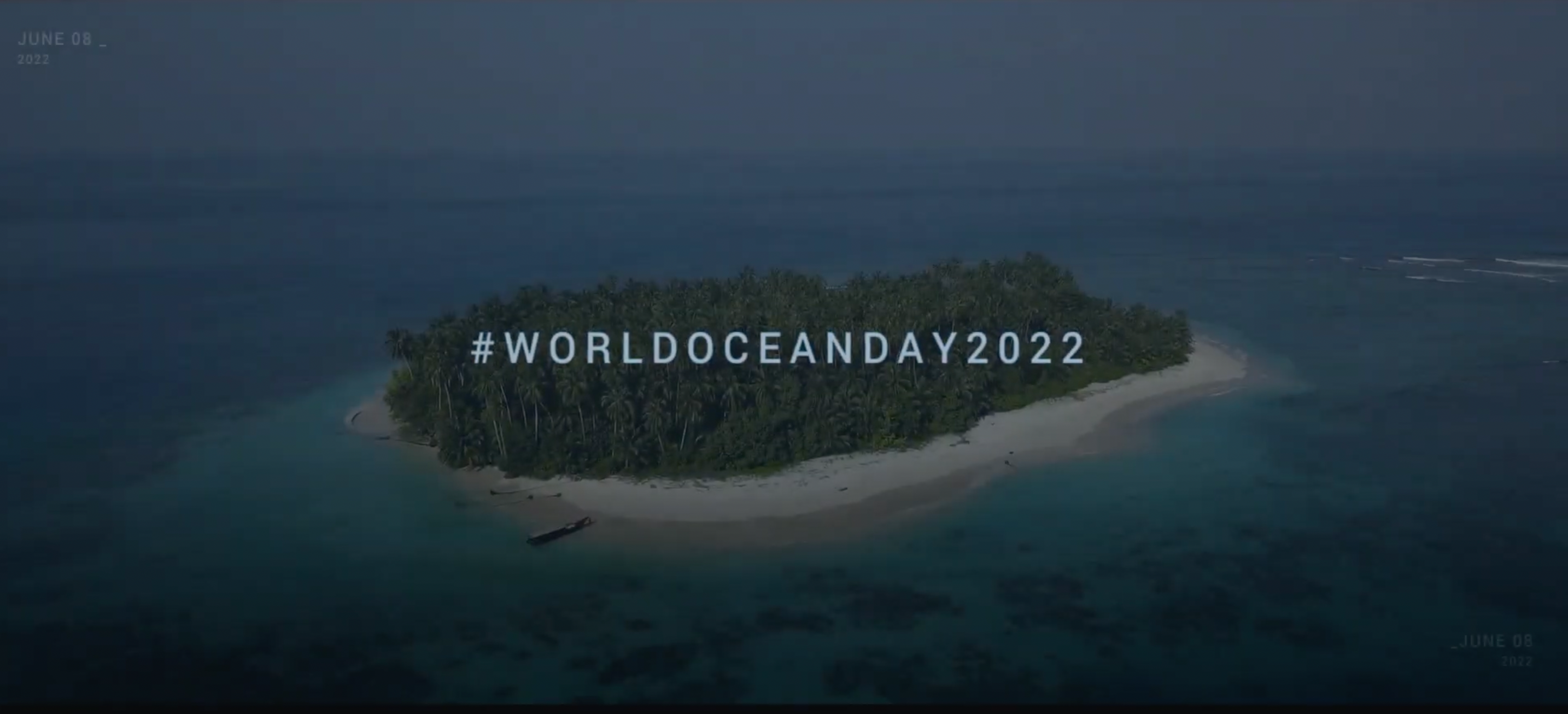 “Ocean Connections”: creadores de historias a favor de los océanos