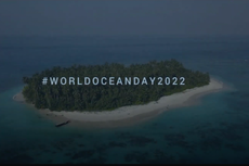 “Ocean Connections”: creadores de historias a favor de los océanos