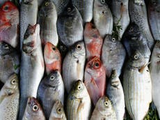 Comer dos porciones de pescado a la semana está relacionado con el cáncer de piel, sugiere un estudio