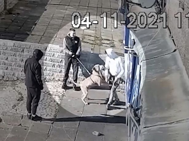 Las imágenes de CCTV muestran a “Beast” lanzándose sobre extraños antes de que el fatal ataque ocurriera