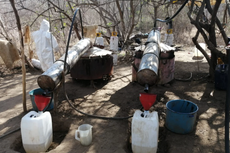 Soldados mexicanos decomisan 16 ‘narcolaboratorios’ del Cártel de Sinaloa en una semana