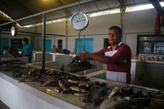 Vinculan desapariciones en Brasil con la "mafia del pescado"