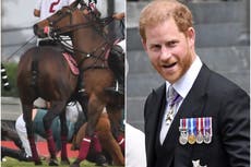 El príncipe Harry se cae de su caballo durante un partido de polo en California