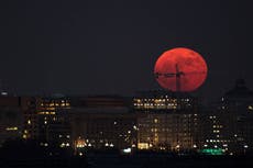 ¿Cómo ver y qué debemos hacer durante la Superluna de Fresa?