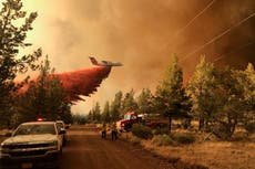 Reporte: Catástrofes generan "ansiedad climática" a jóvenes