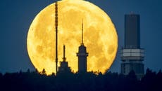 Así es la super luna de fresa que pintó los cielos de un espectáculo rosa