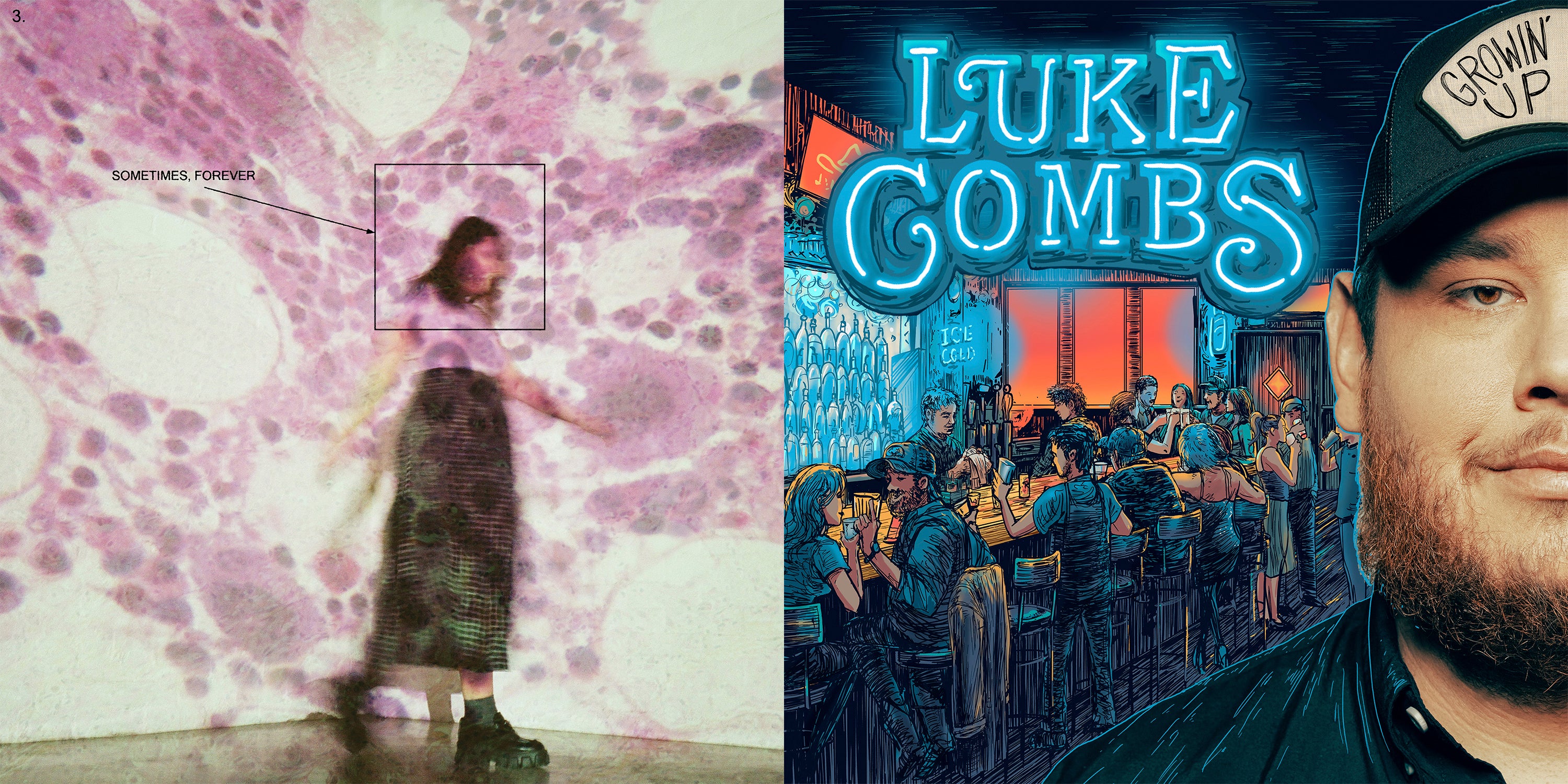 ESTRENOS DE LA SEMANA