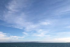 Hospitalizan a un surfista después de que sufriera un ataque de tiburón en la costa norte de California