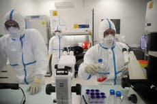 Henipavirus: El nuevo virus en China, que es 40 y 75 por ciento más letal que el coronavirus