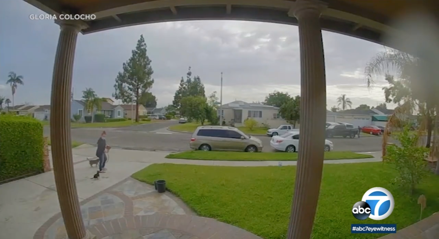Antonia Mendoza Chávez es captada por la cámara de vigilancia de su casa la mañana en que sacó a pasear a sus perros, en lo que su casera cree que es la última grabación de la californiana con vida