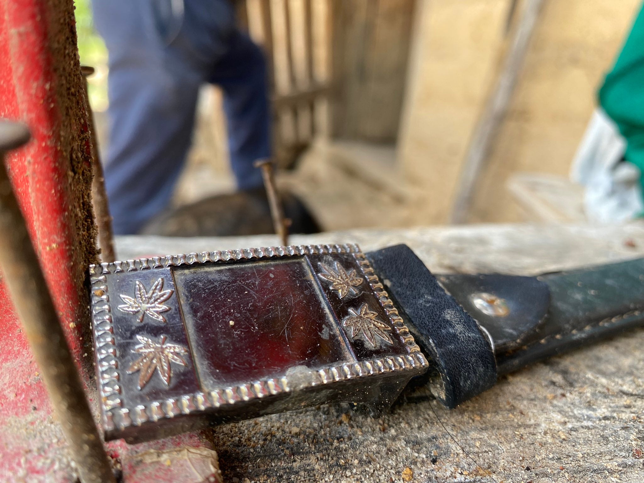 ¿Por qué la Sierra Tarahumara es de interés del crimen organizado?