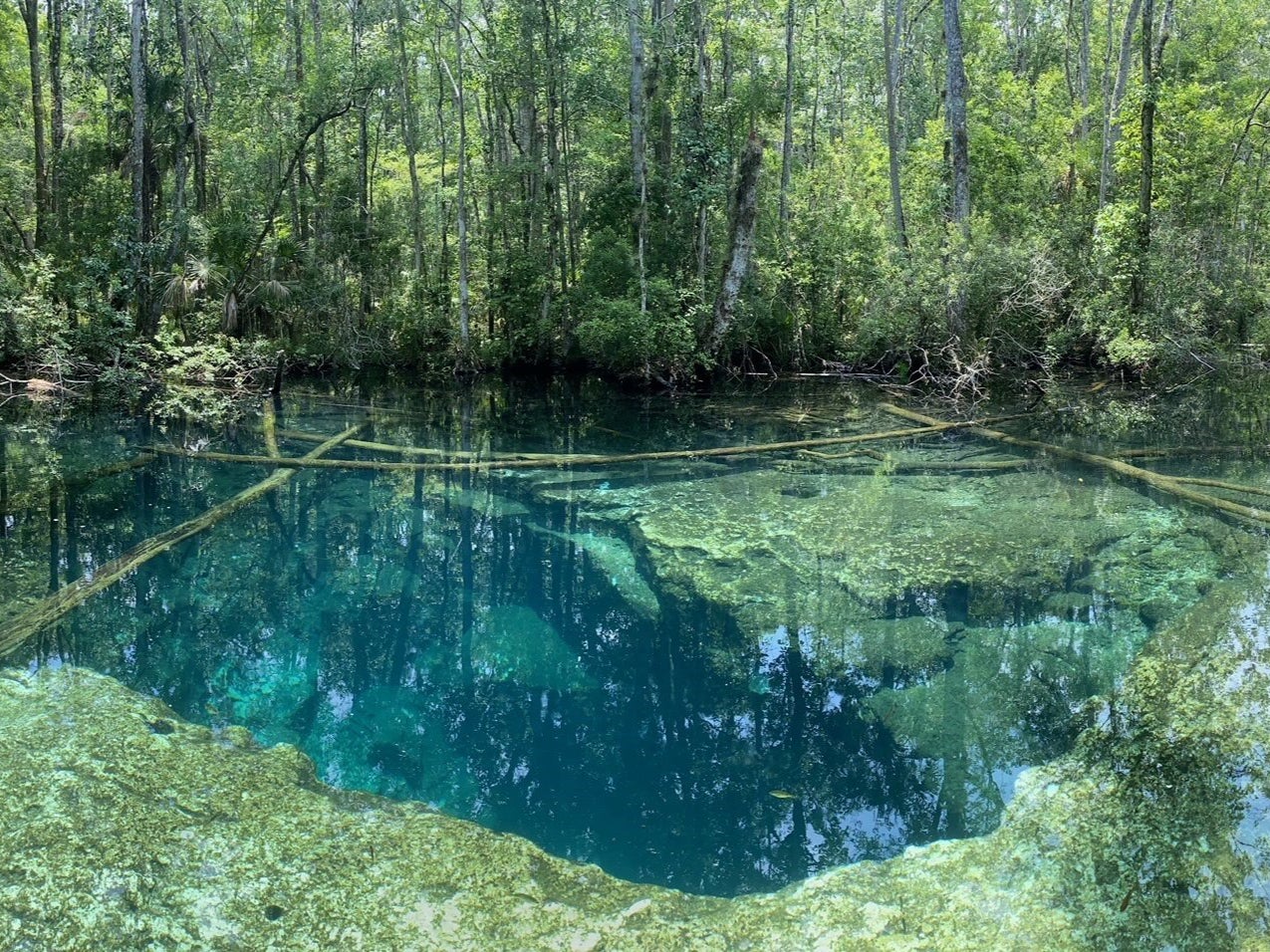 El lago en el Chassahowitzka Wildlife Park, Florida, donde encontraron a los dos buzos