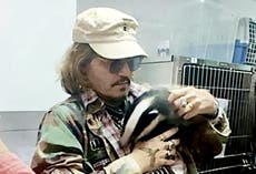 Johnny Depp es el nuevo mecenas de un centro de rescate de animales salvajes 