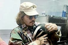 Johnny Depp es el nuevo mecenas de un centro de rescate de animales salvajes