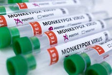 Vacuna contra viruela del mono recibe aprobación preliminar en la Unión Europea