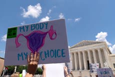 Partidarios y oponentes del aborto en EEUU planean medidas