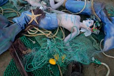 Conferencia oceánica de ONU busca un acuerdo sobre alta mar