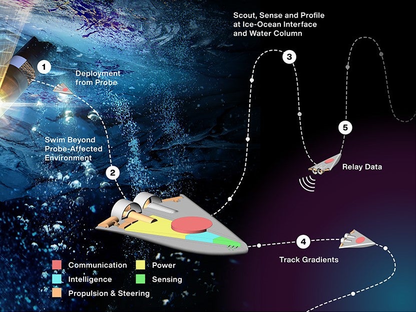 En el concepto SWIM (Sensores con Micronadadores Independientes), ilustrado aquí, docenas de pequeños robots descenderían a través de la cáscara helada de una luna lejana mediante un criobot - representado a la izquierda - hasta el océano de abajo. El proyecto ha recibido financiación del programa Conceptos Avanzados Innovadores de la NASA