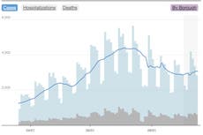 Covid-19: experto advierte que se avecina una nueva ola de infecciones en la ciudad de Nueva York