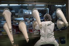 Vacuna contra el cáncer similar a vacuna contra covid genera resultados “bastante esperanzadores”