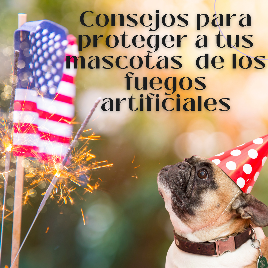 Consejos para proteger a tus mascotas durante los fuegos artificiales