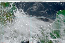 Bonnie llega a México como huracán categoría 1, estas son las regiones que afectará