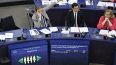 El Parlamento Europeo etiqueta como “verdes” la energía nuclear y el gas