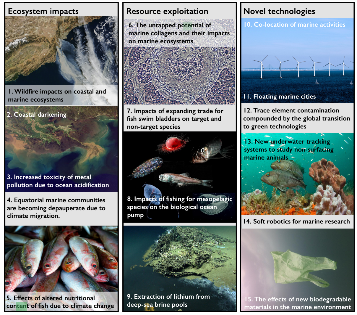 Un equipo internacional de científicos enumeró sus principales preocupaciones para el océano mundial