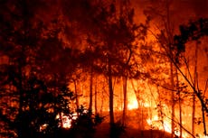 Francia: 900 bomberos combaten enorme incendio en el sureste