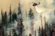 Incendio en Yosemite amenaza bosque de secuoyas gigantes