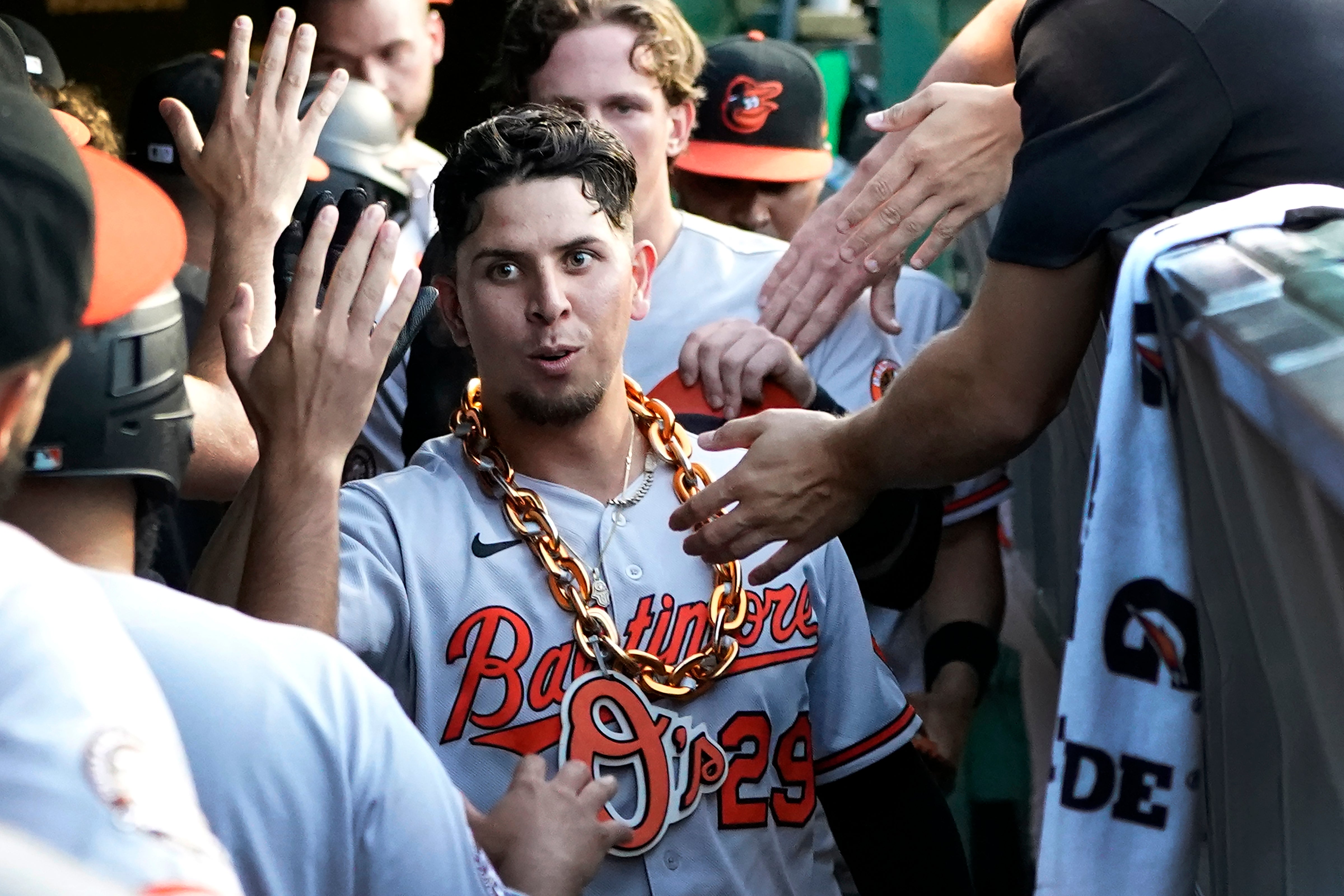 ORIOLES-CACHORROS