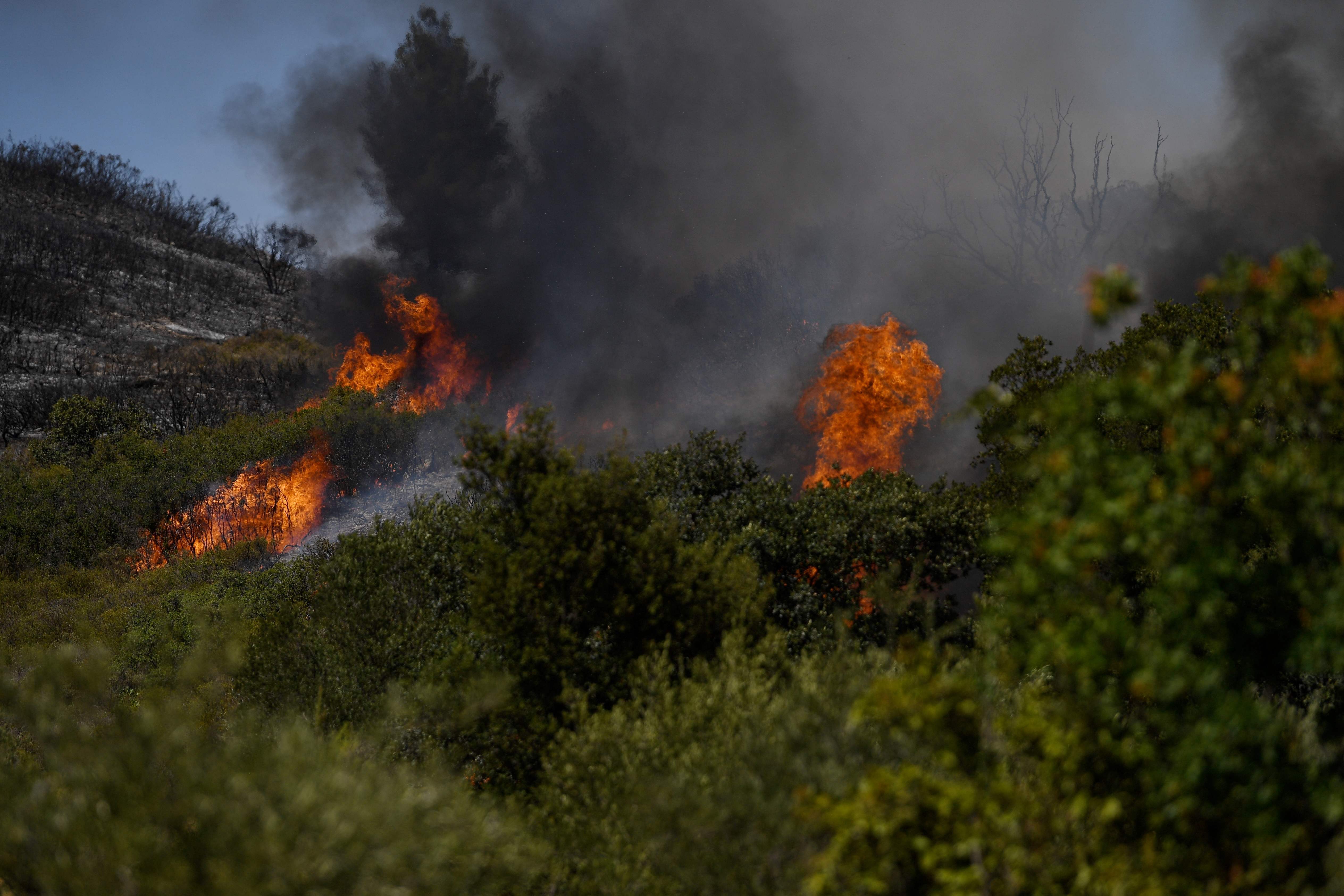Miles de bomberos luchan contra los mortíferos incendios que han arrasado Europa esta semana