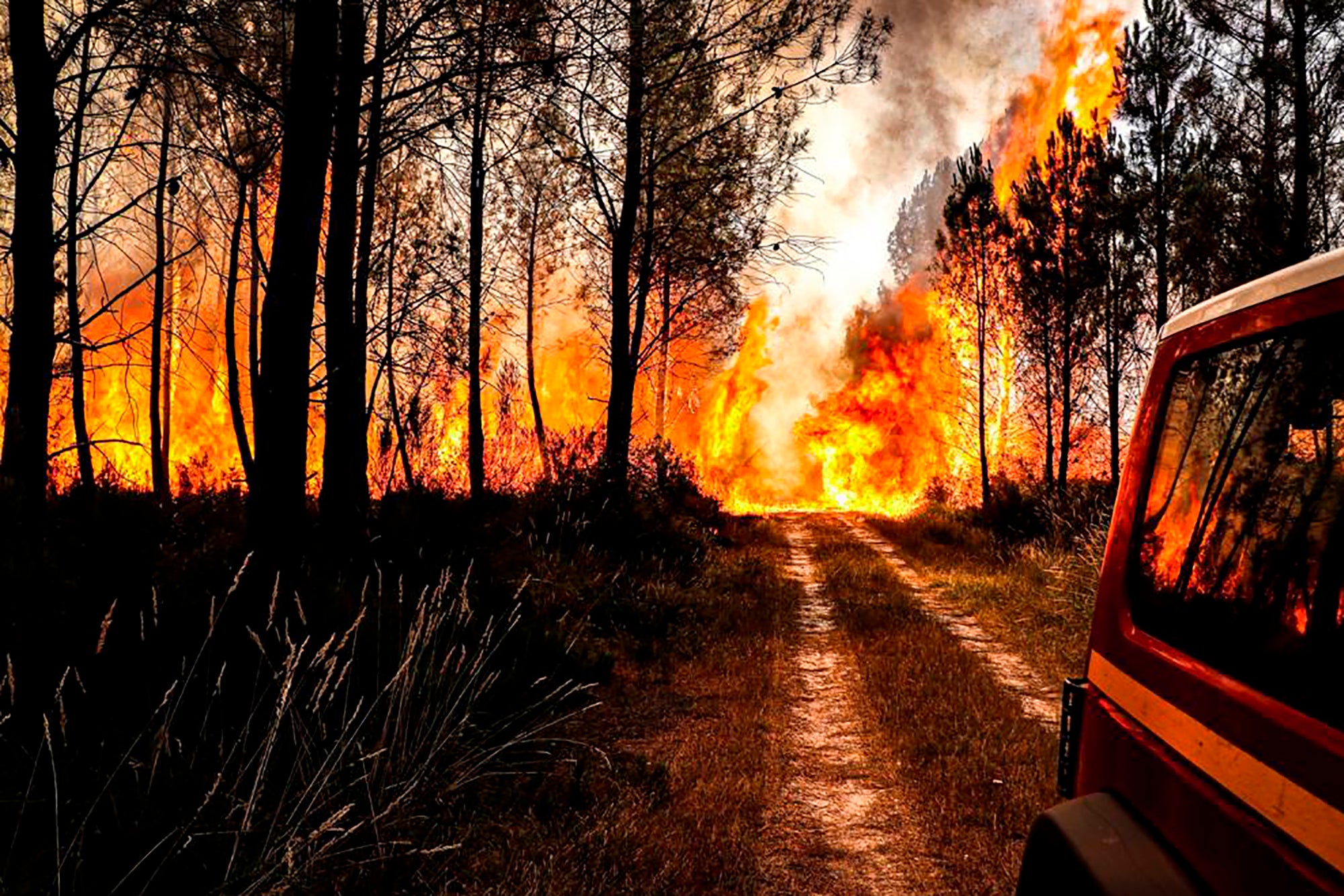 Los bomberos de la región de la Gironda (SDIS 33) luchan contra un incendio forestal cerca de Landiras, en el suroeste de Francia