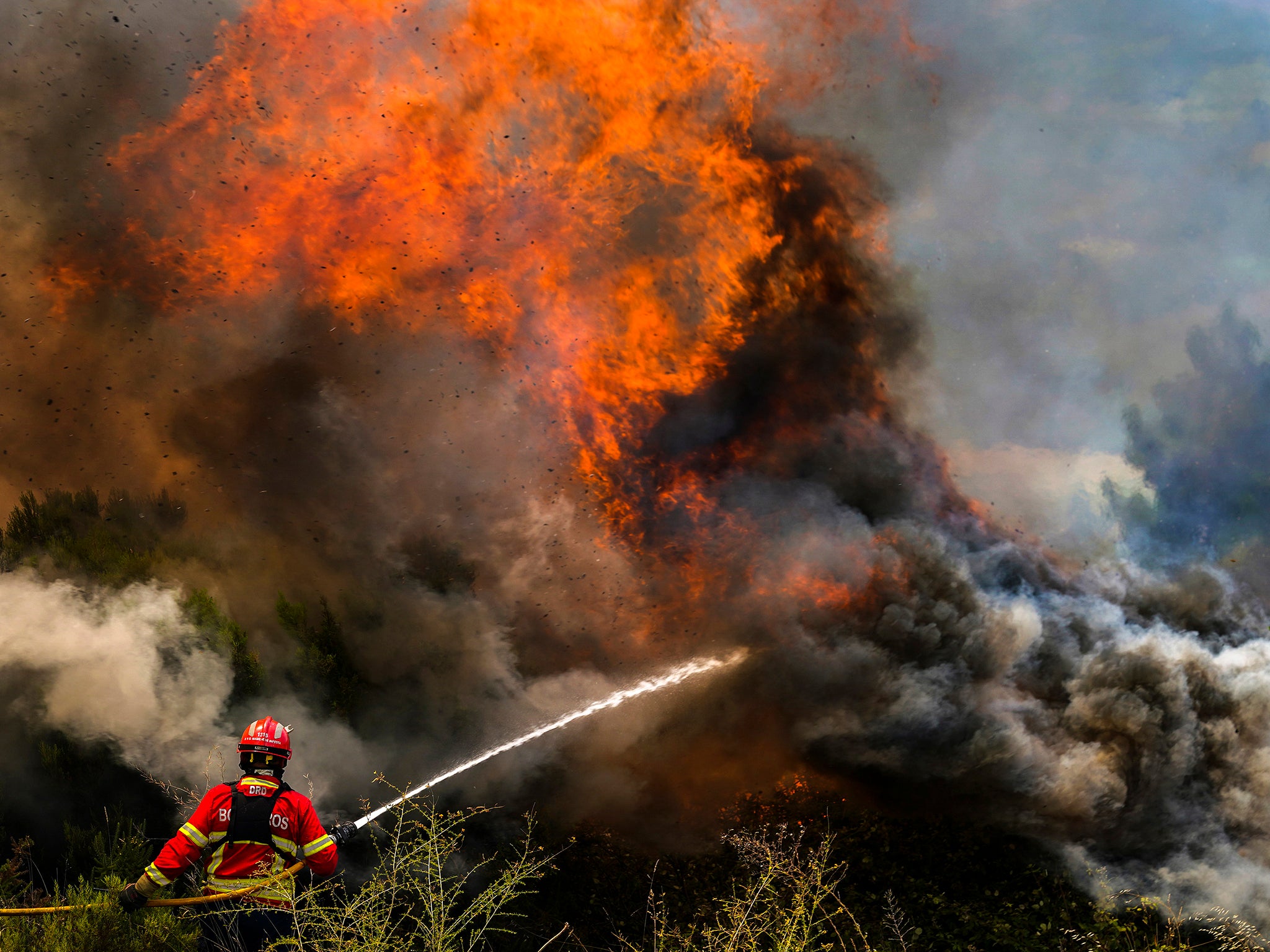 Los incendios forestales en Portugal ya han causado la muerte de una persona