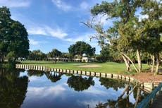 Anciana muere atacada por caimanes tras caer en estanque en Florida