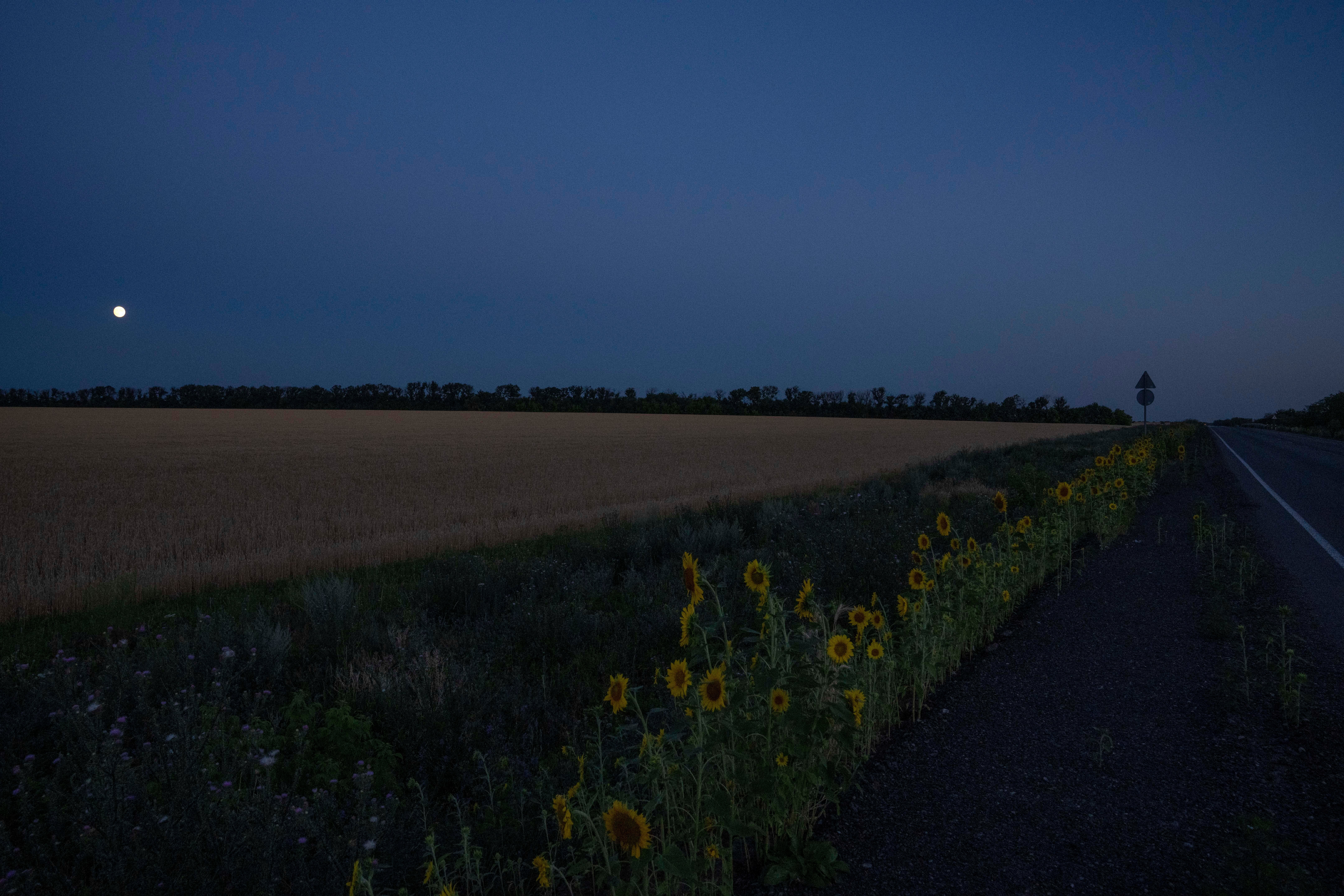 UCRANIA-GUERRA-DONETSK