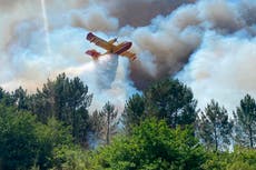 Incendios castigan Francia y España en plena ola de calor