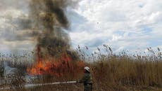  Francia, Portugal y España: los incendios no dan tregua mientras la ola de calor continúa