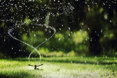 Piden a texanos ahorrar agua en medio de la ola de calor que afecta al estado