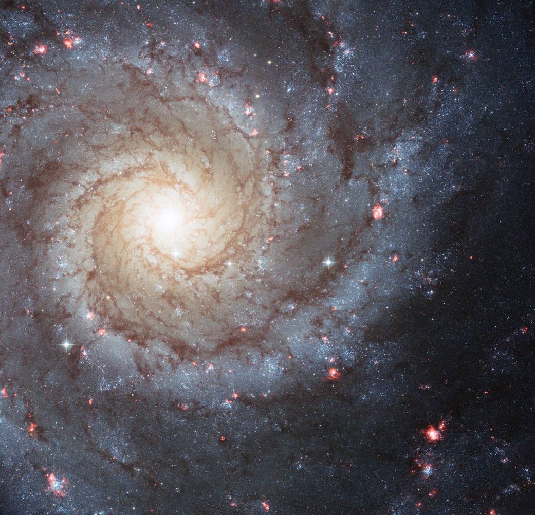 Una imagen del Telescopio Espacial Hubble de la galaxia espiral NGC 628, que puede parecerse a nuestra Vía Láctea
