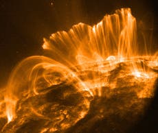 NASA: Científicos advierten que una tormenta solar golpeará la tierra. Esto es lo que debes saber