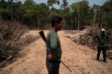 Reporte: Autoridades brasileñas ignoran la deforestación