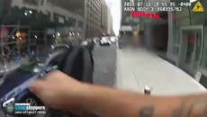 Persecución policial “a caballo” por las calles de Nueva York