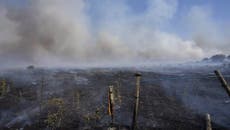España en alerta , mortal incendio forestal consume 27,000 hectáreas 