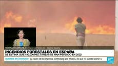España: más de 190,000 hectáreas en cenizas por incendios forestales  